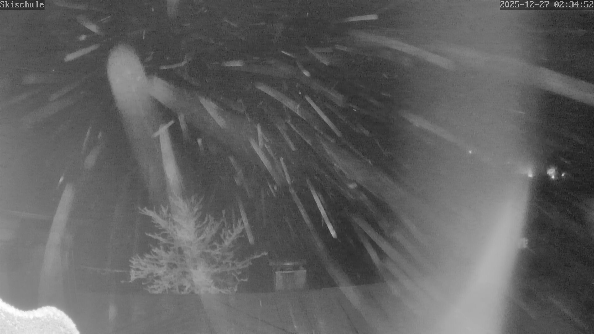 Archiv Foto Webcam Streidlhang, Brauneck