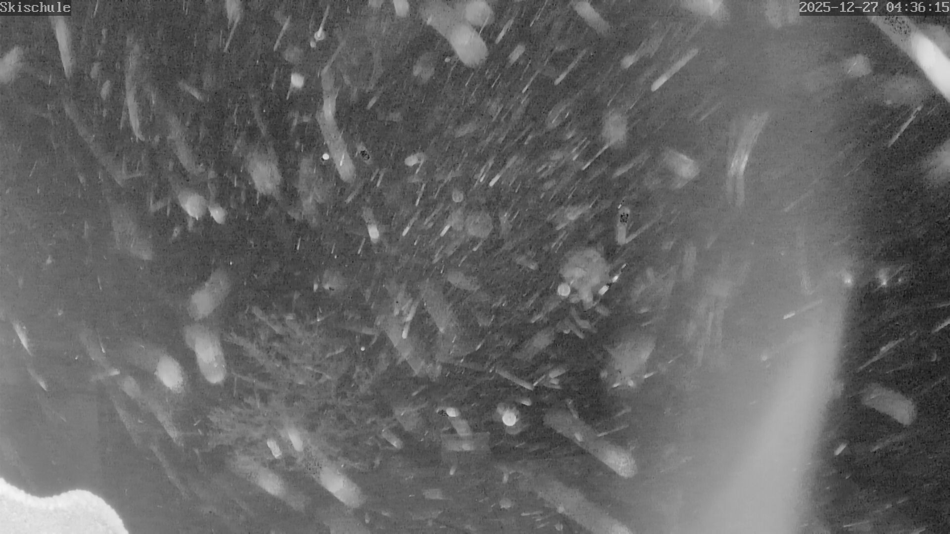 Archiv Foto Webcam Streidlhang, Brauneck