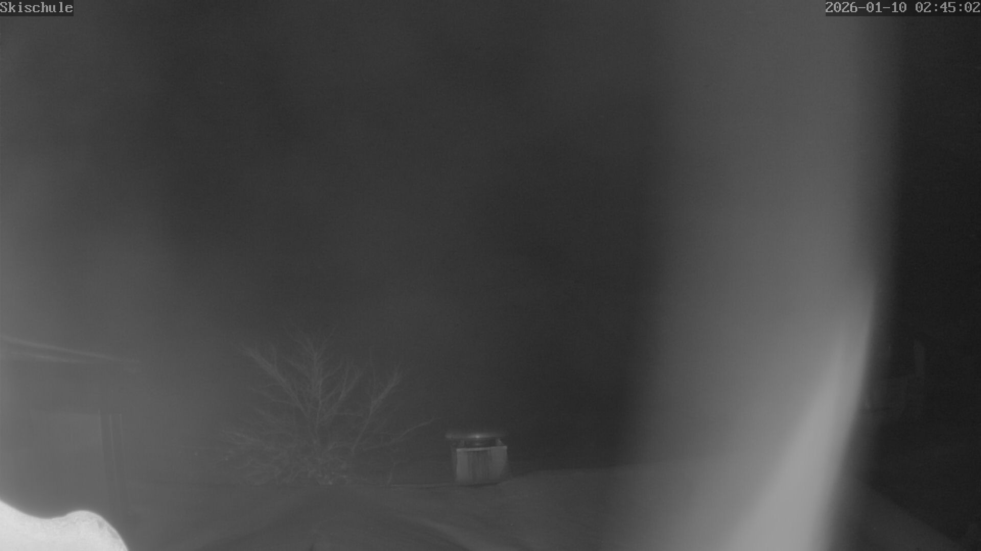 Archiv Foto Webcam Streidlhang, Brauneck