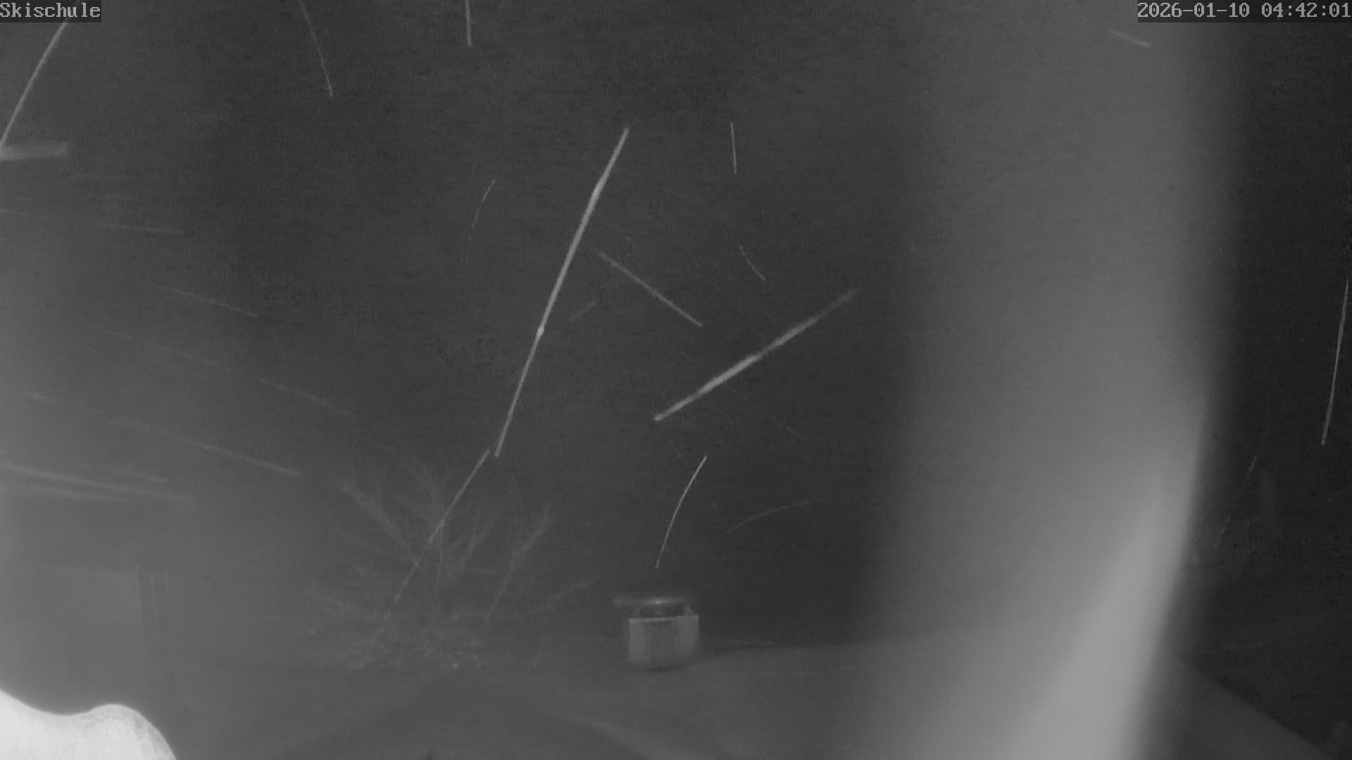 Archiv Foto Webcam Streidlhang, Brauneck