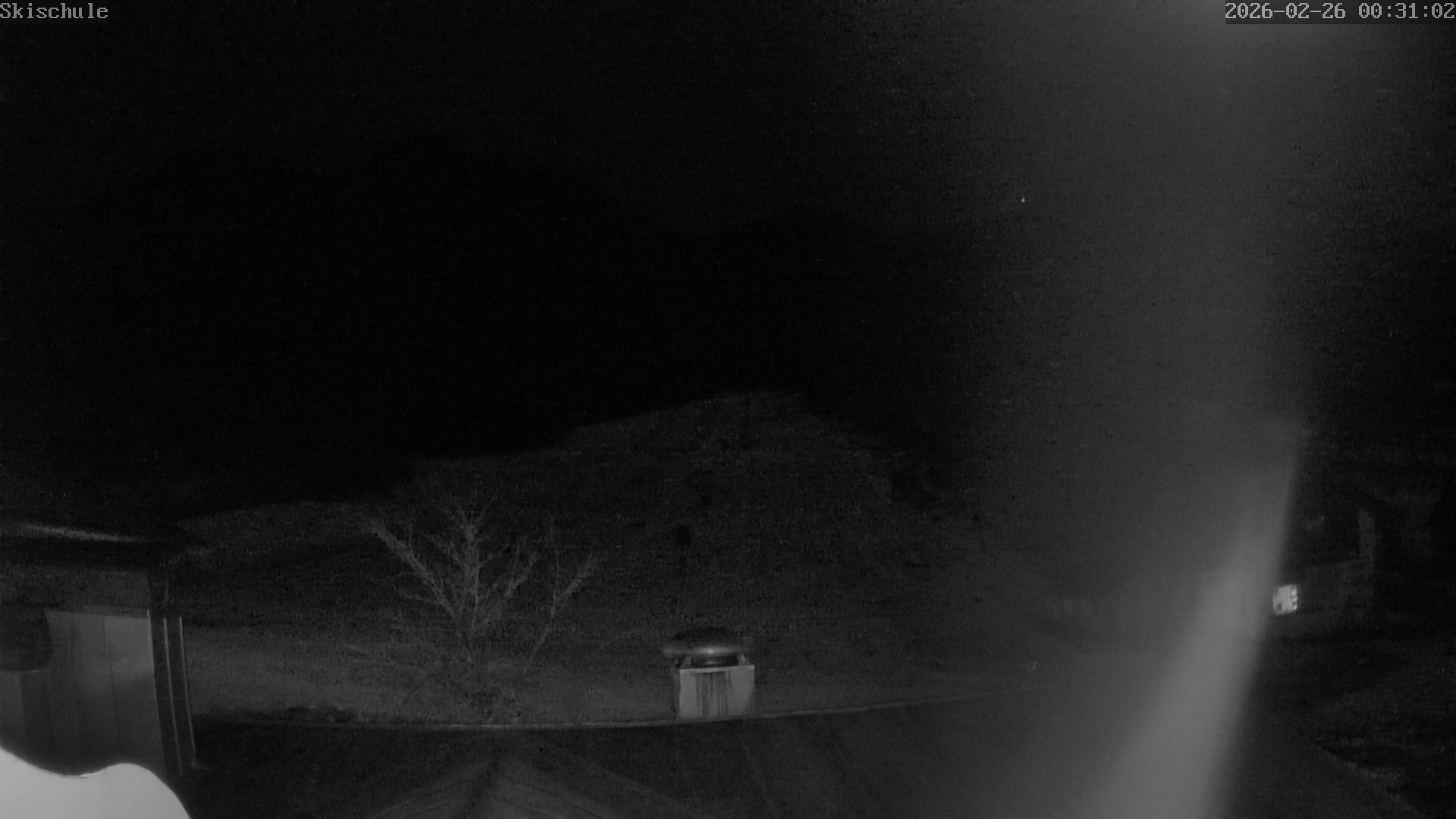 Archiv Foto Webcam Streidlhang, Brauneck