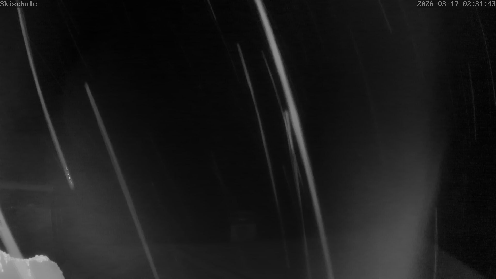 Archiv Foto Webcam Streidlhang, Brauneck