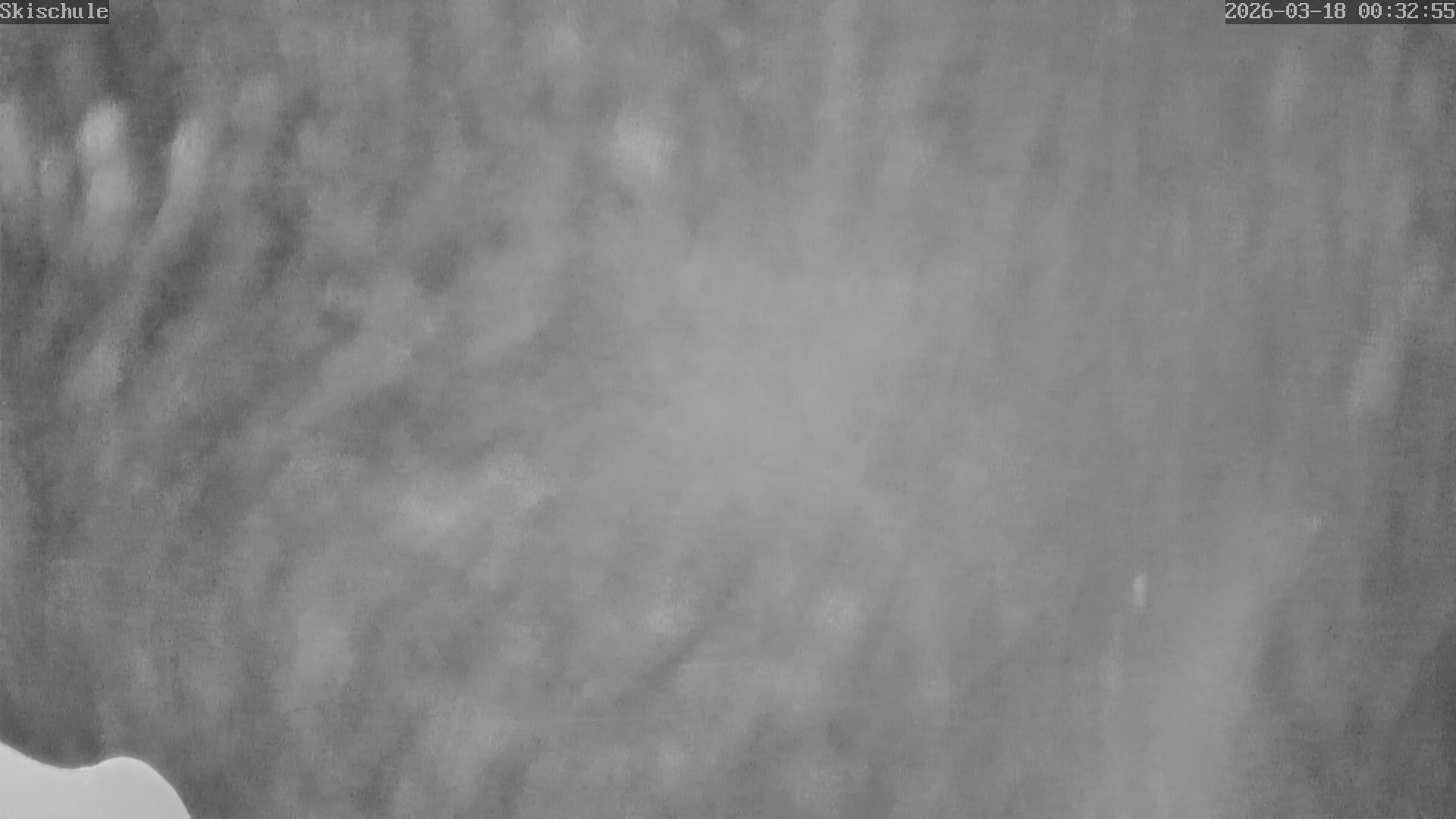 Archiv Foto Webcam Streidlhang, Brauneck