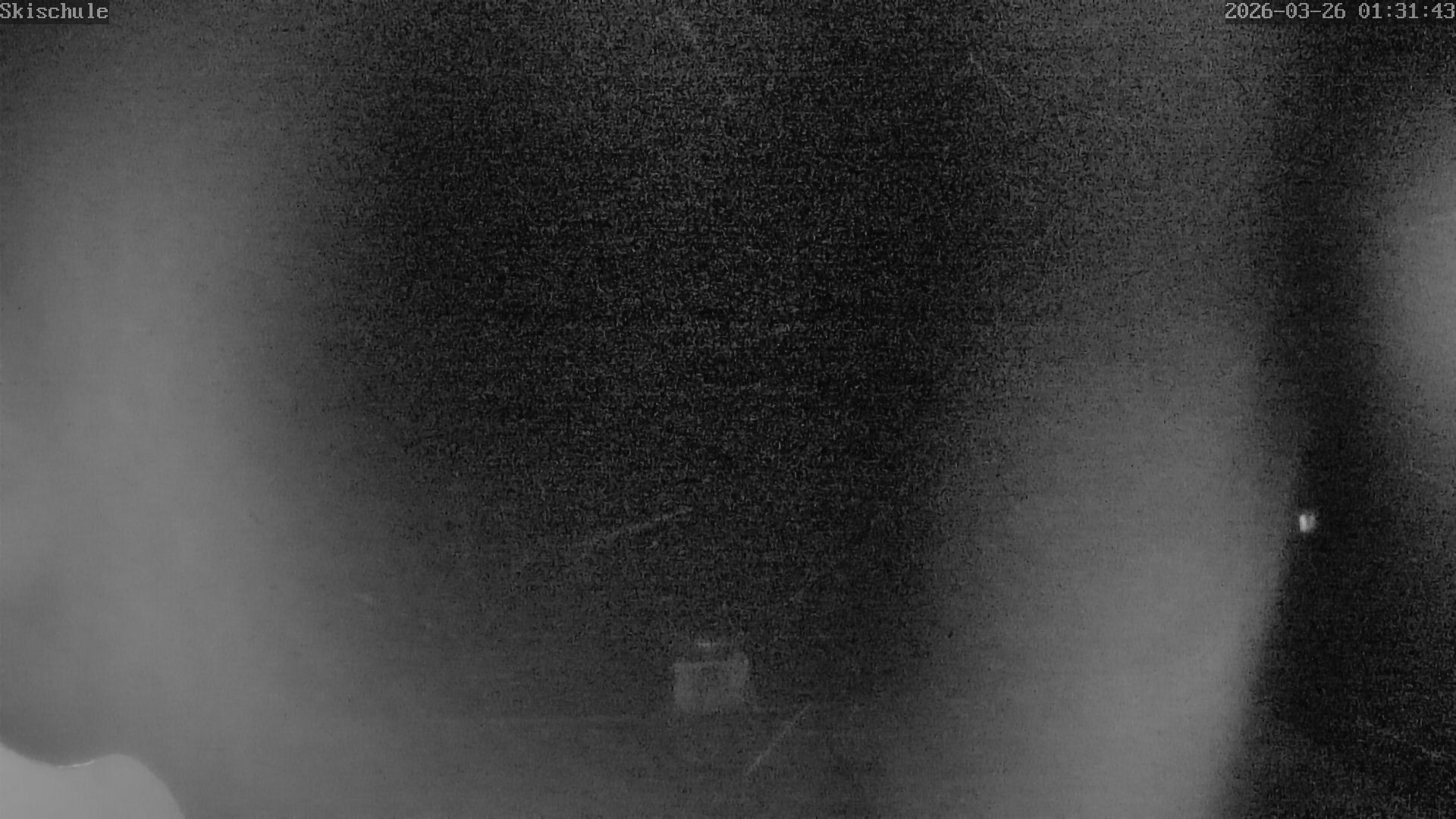 Archiv Foto Webcam Streidlhang, Brauneck