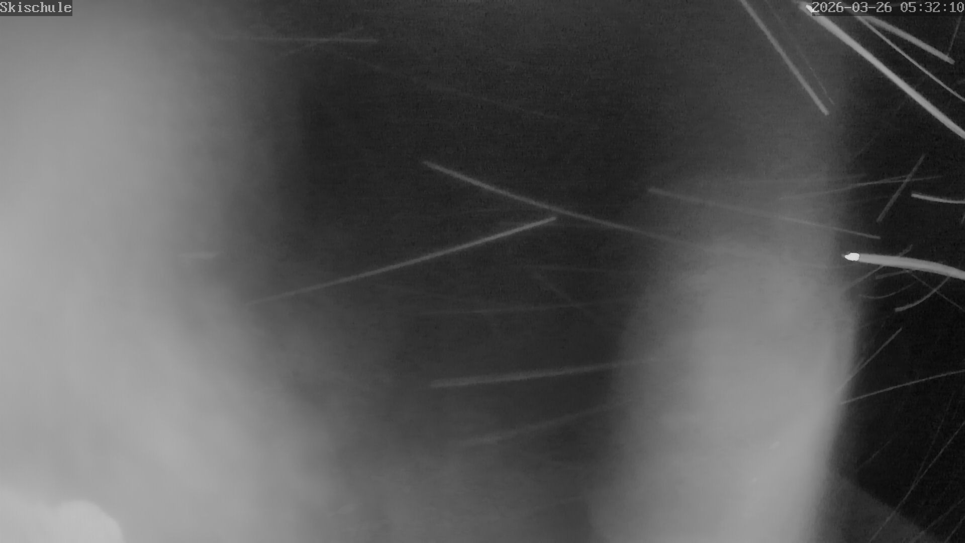 Archiv Foto Webcam Streidlhang, Brauneck