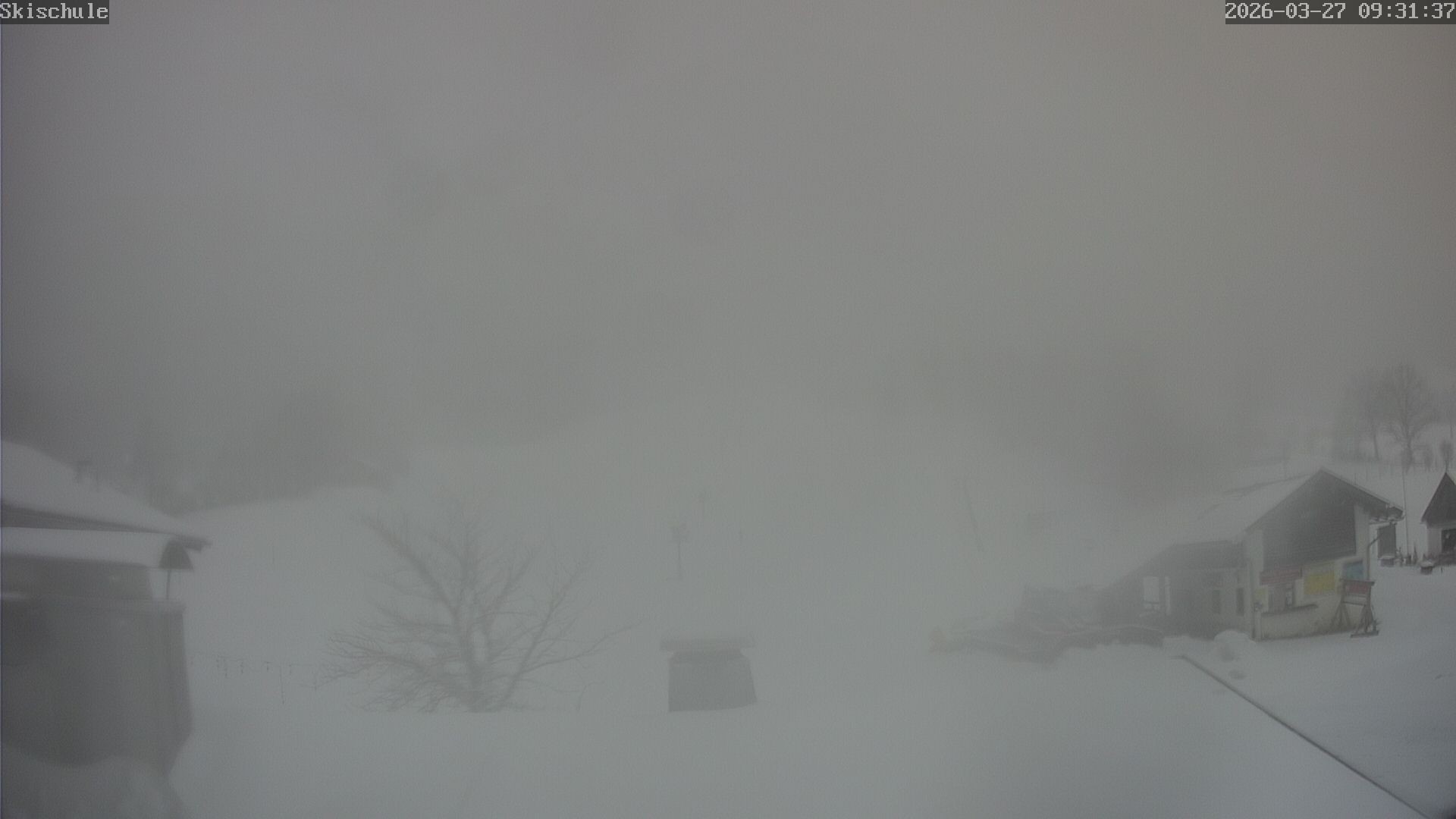 Archived image Webcam Streidlhang slope, Brauneck