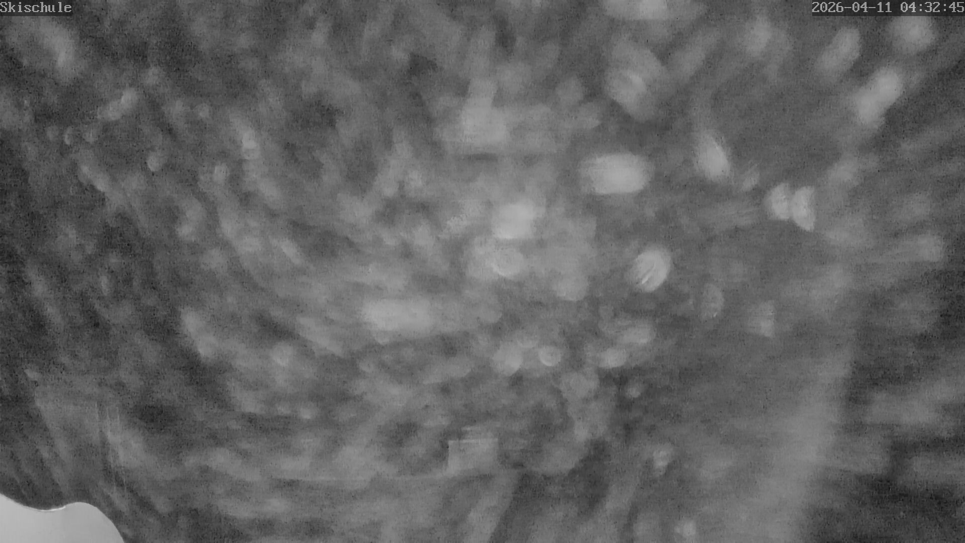 Archiv Foto Webcam Streidlhang, Brauneck