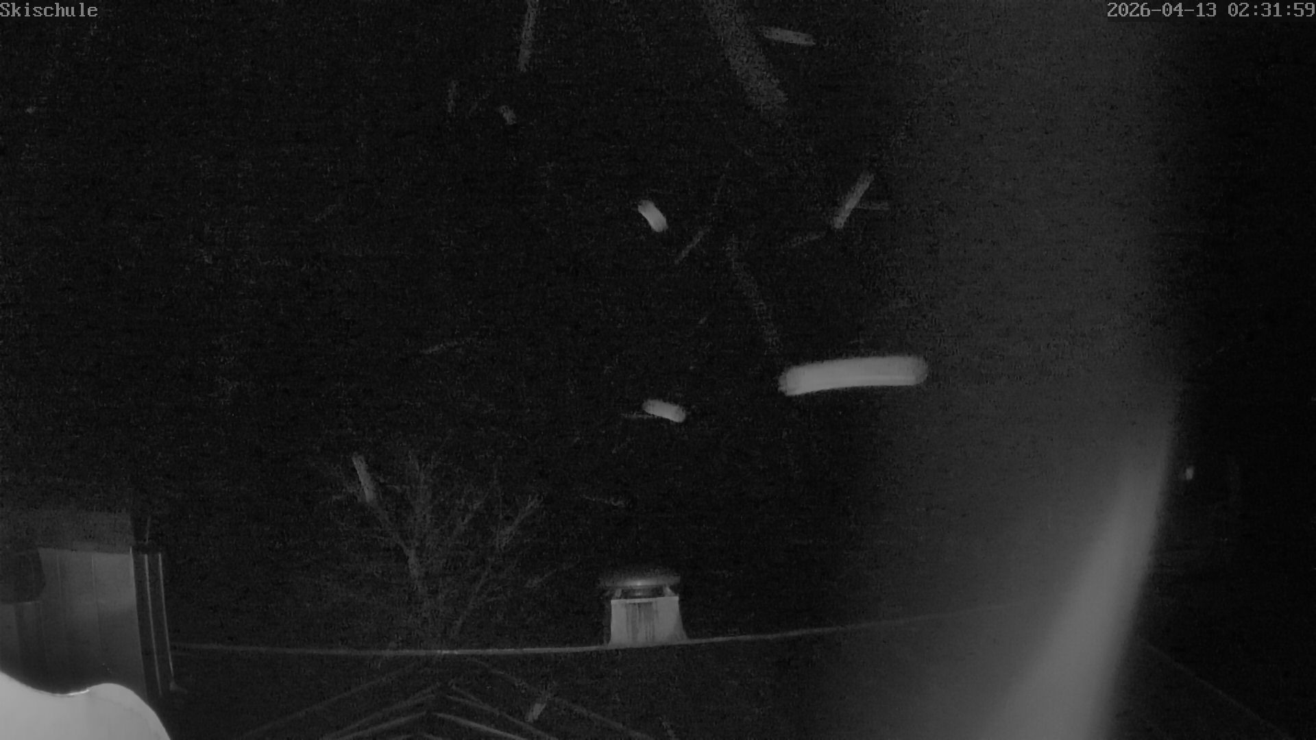 Archived image Webcam Streidlhang slope, Brauneck