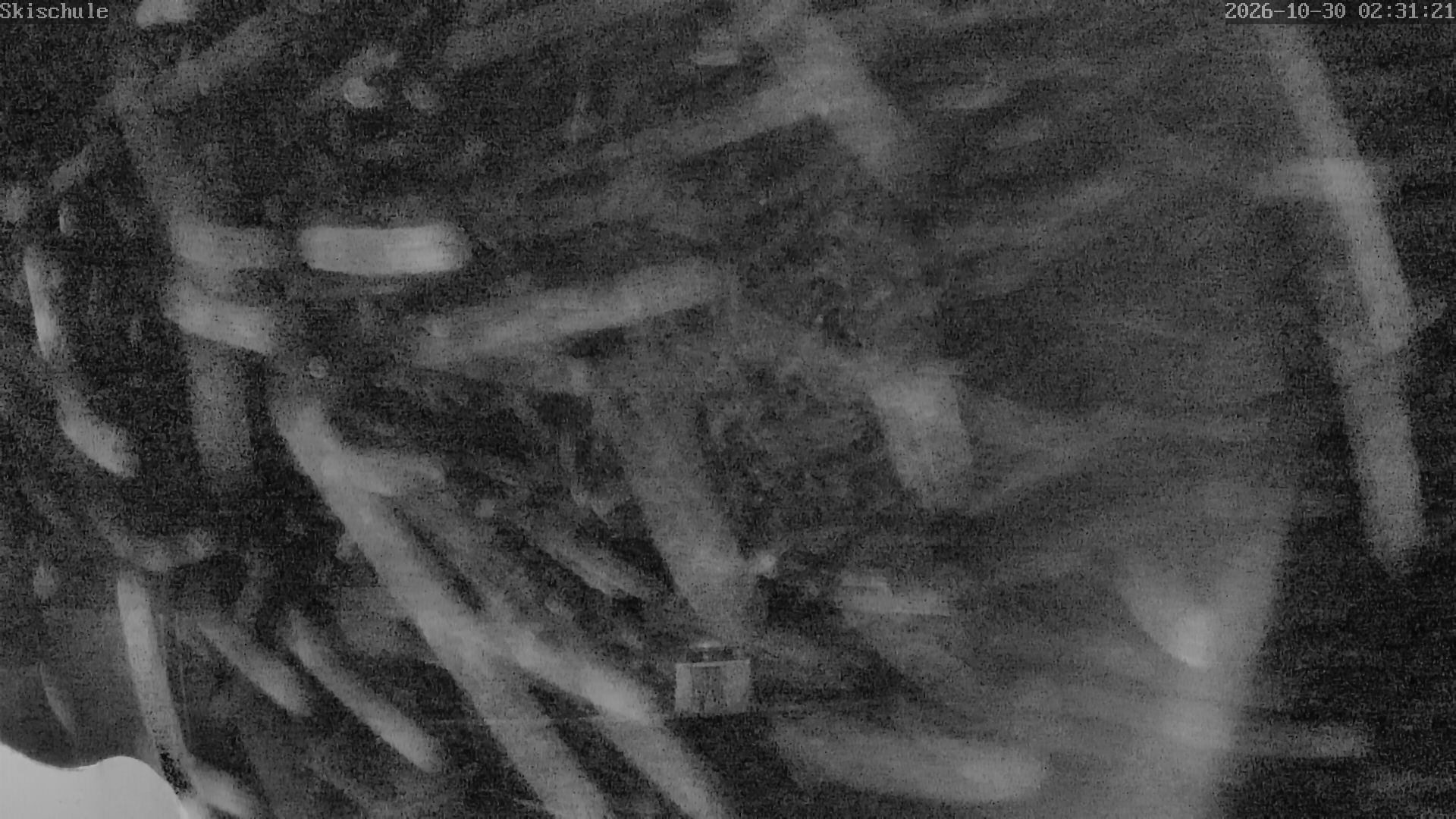 Archiv Foto Webcam Streidlhang, Brauneck