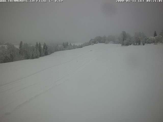 Archiv Foto Webcam Graubünden: Flims - Rens