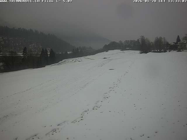 Archiv Foto Webcam Graubünden: Flims - Rens