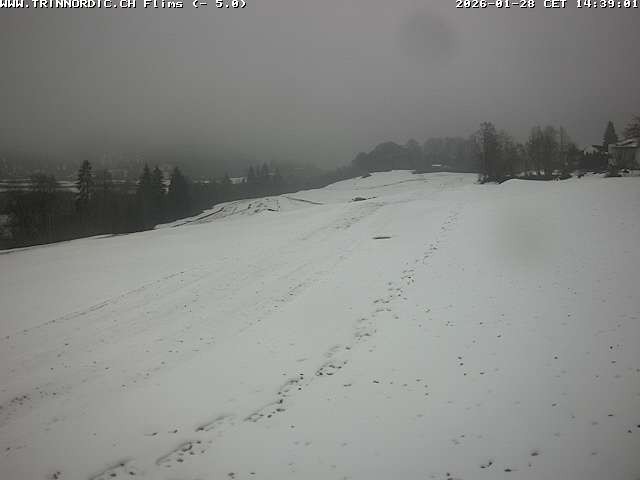 Archiv Foto Webcam Graubünden: Flims - Rens