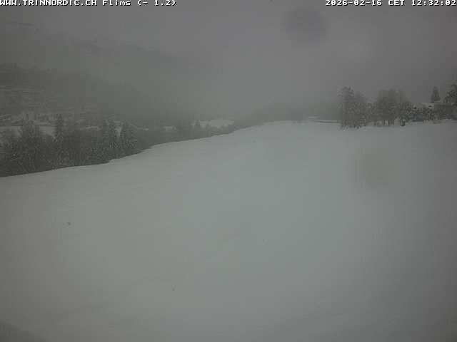 Archiv Foto Webcam Graubünden: Flims - Rens