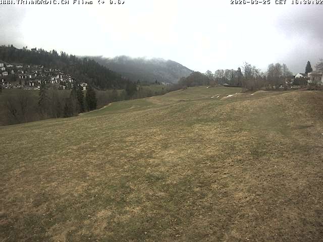 Archived image Webcam Grisons: Flims - Rens