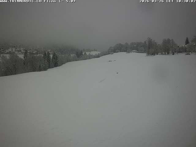 Archiv Foto Webcam Graubünden: Flims - Rens