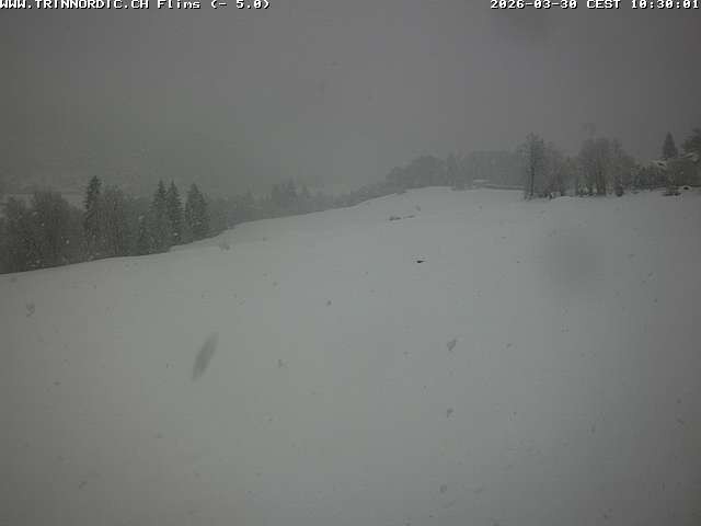 Archiv Foto Webcam Graubünden: Flims - Rens