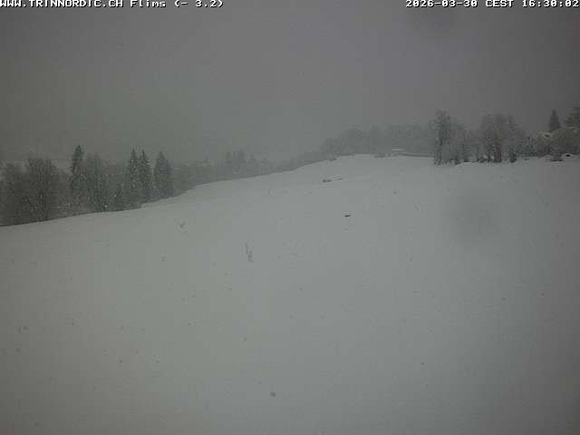 Archiv Foto Webcam Graubünden: Flims - Rens