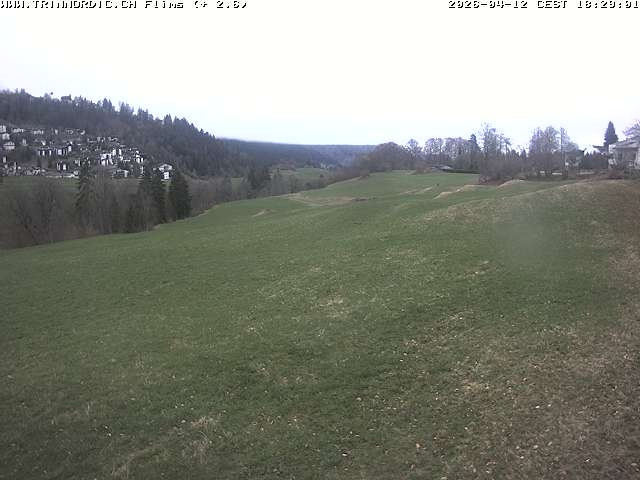 Archived image Webcam Grisons: Flims - Rens