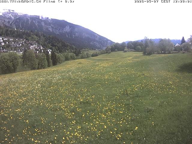 Archiv Foto Webcam Graubünden: Flims - Rens