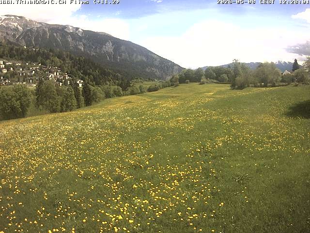 Archiv Foto Webcam Graubünden: Flims - Rens