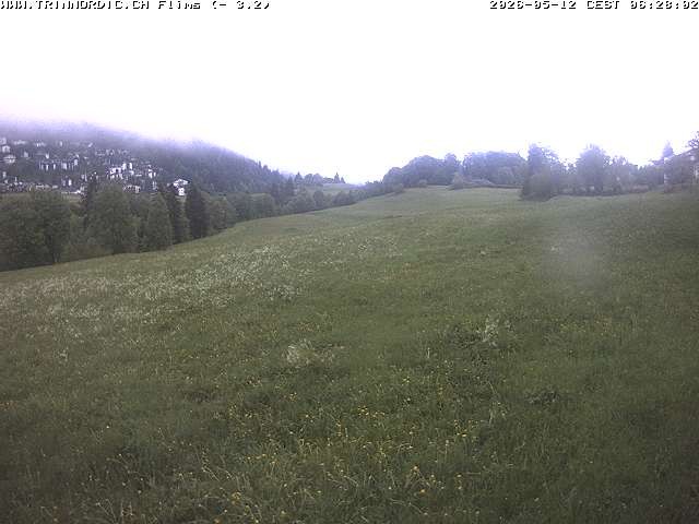 Archiv Foto Webcam Graubünden: Flims - Rens
