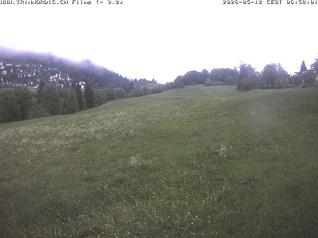 Archiv Foto Webcam Graubünden: Flims - Rens