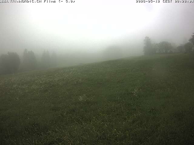 Archiv Foto Webcam Graubünden: Flims - Rens