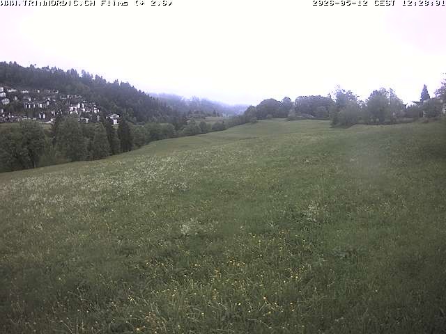 Archiv Foto Webcam Graubünden: Flims - Rens