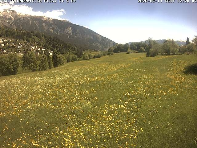 Archiv Foto Webcam Graubünden: Flims - Rens