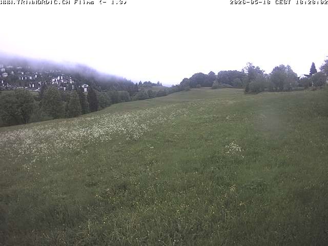 Archived image Webcam Grisons: Flims - Rens