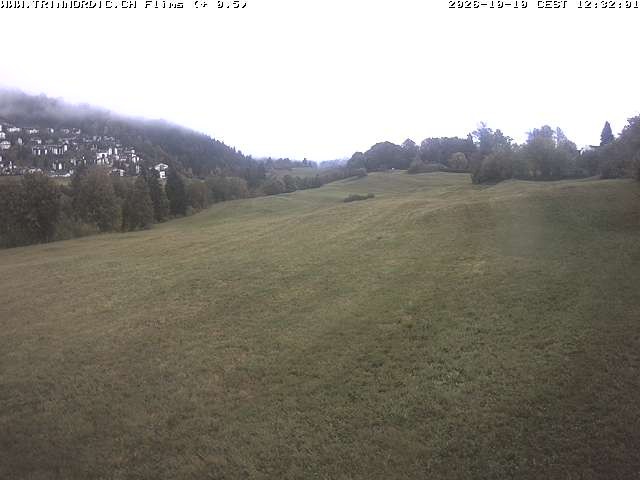 Archived image Webcam Grisons: Flims - Rens