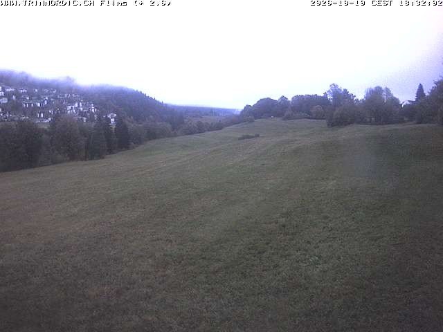 Archived image Webcam Grisons: Flims - Rens