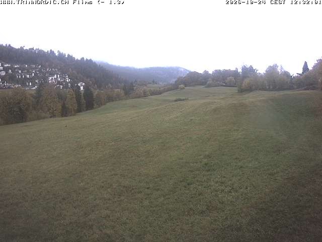 Archiv Foto Webcam Graubünden: Flims - Rens