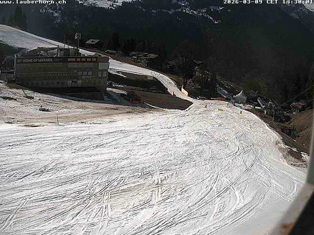 Archiv Foto Webcam Innerwengen: Zielraum Lauberhornrennen
