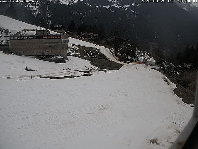 Archiv Foto Webcam Innerwengen: Zielraum Lauberhornrennen