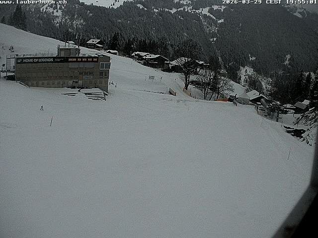 Archiv Foto Webcam Innerwengen: Zielraum Lauberhornrennen