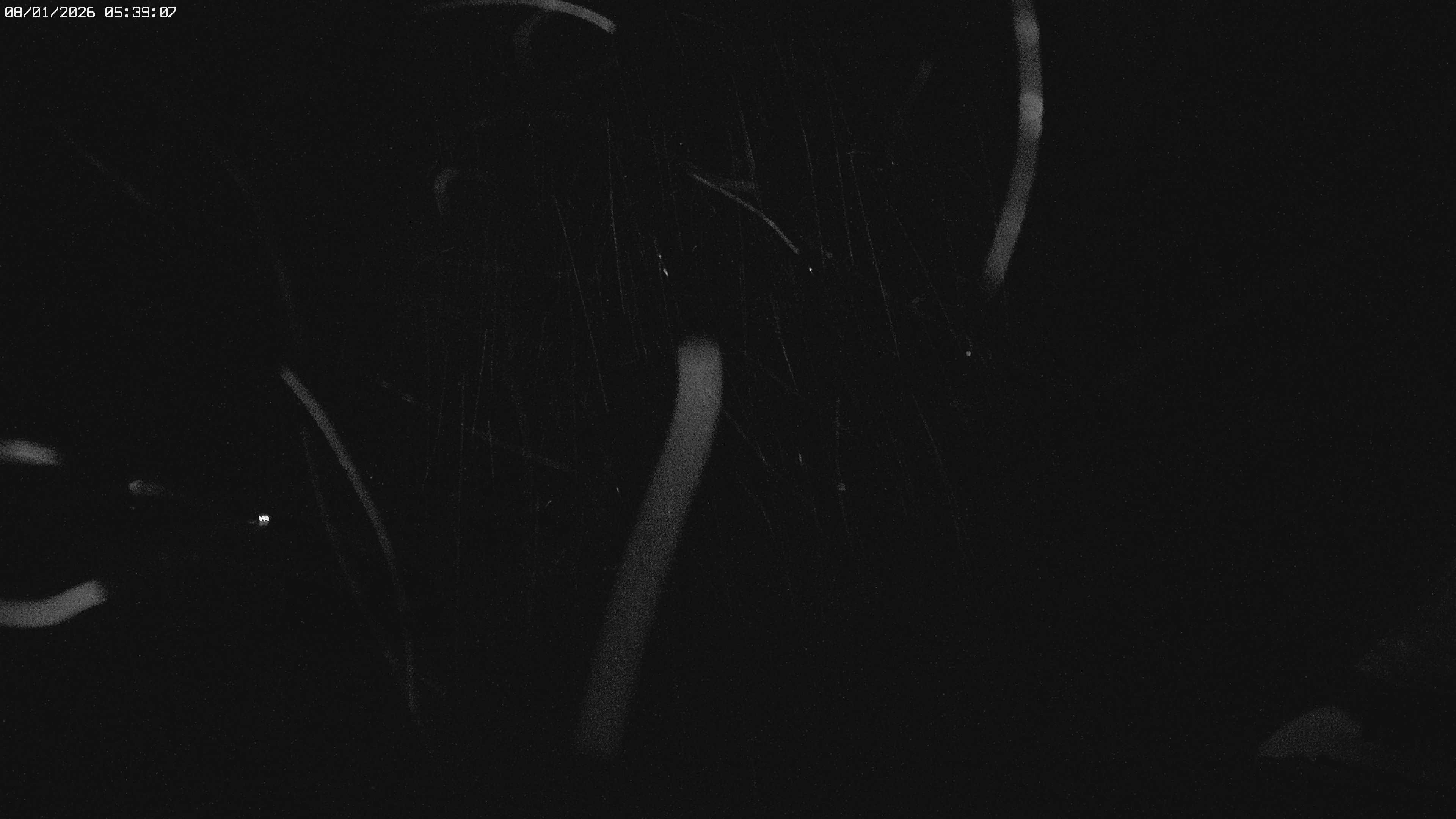 Archiv Foto Webcam Jägeralpe: View Biberkopf