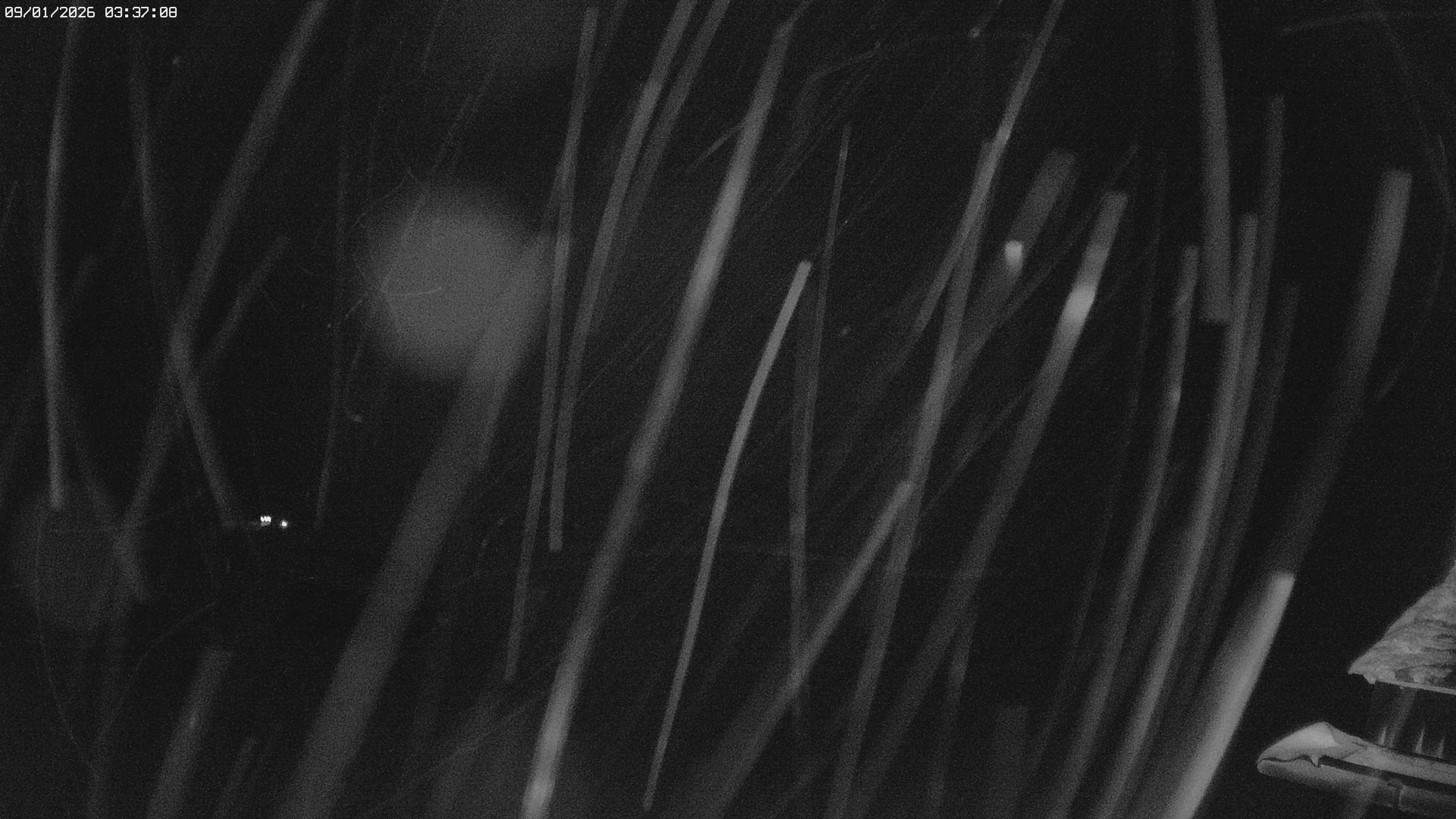 Archived image Webcam Jägeralpe: View Wartherhorn