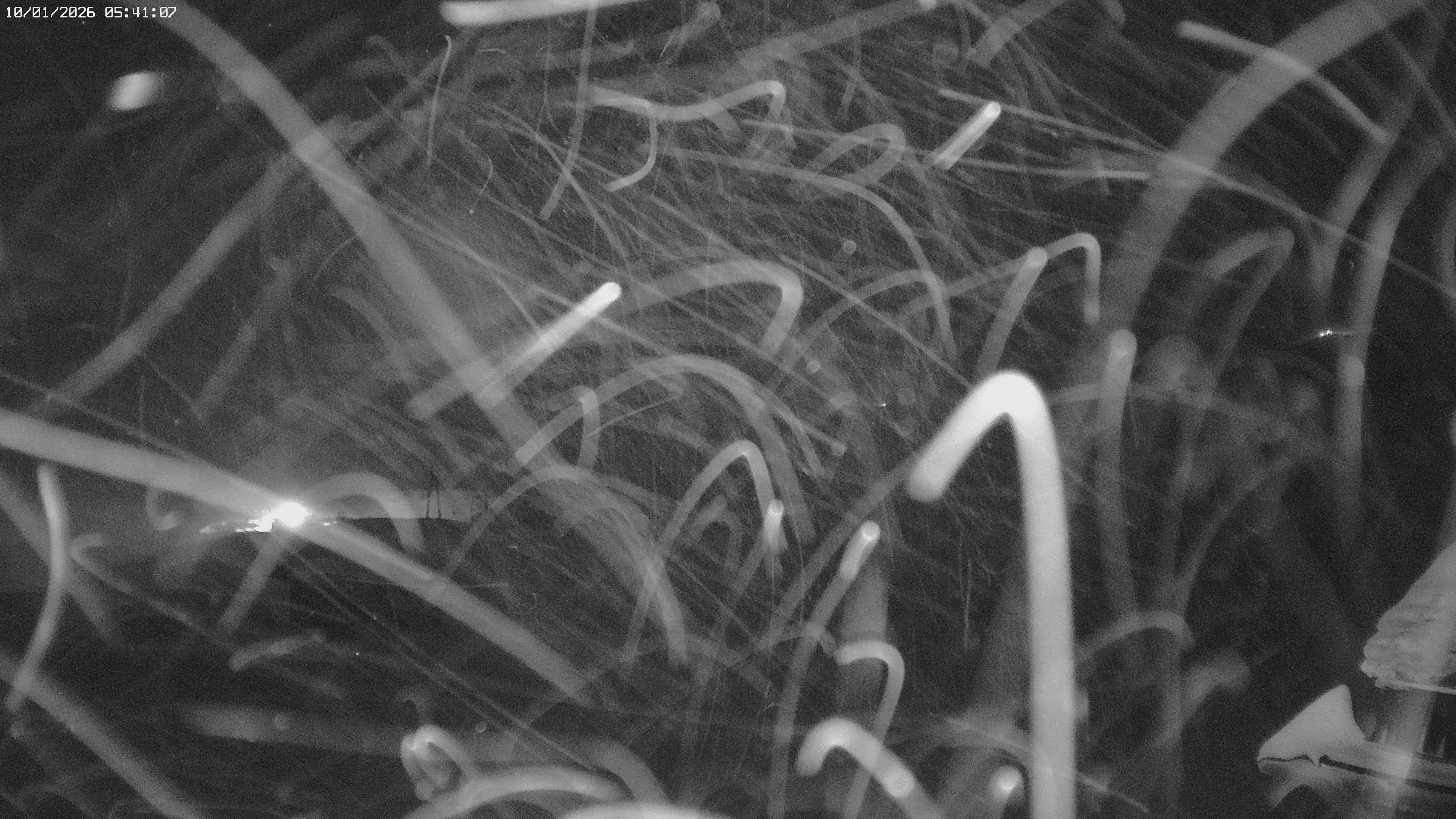 Archiv Foto Webcam Jägeralpe: View Biberkopf