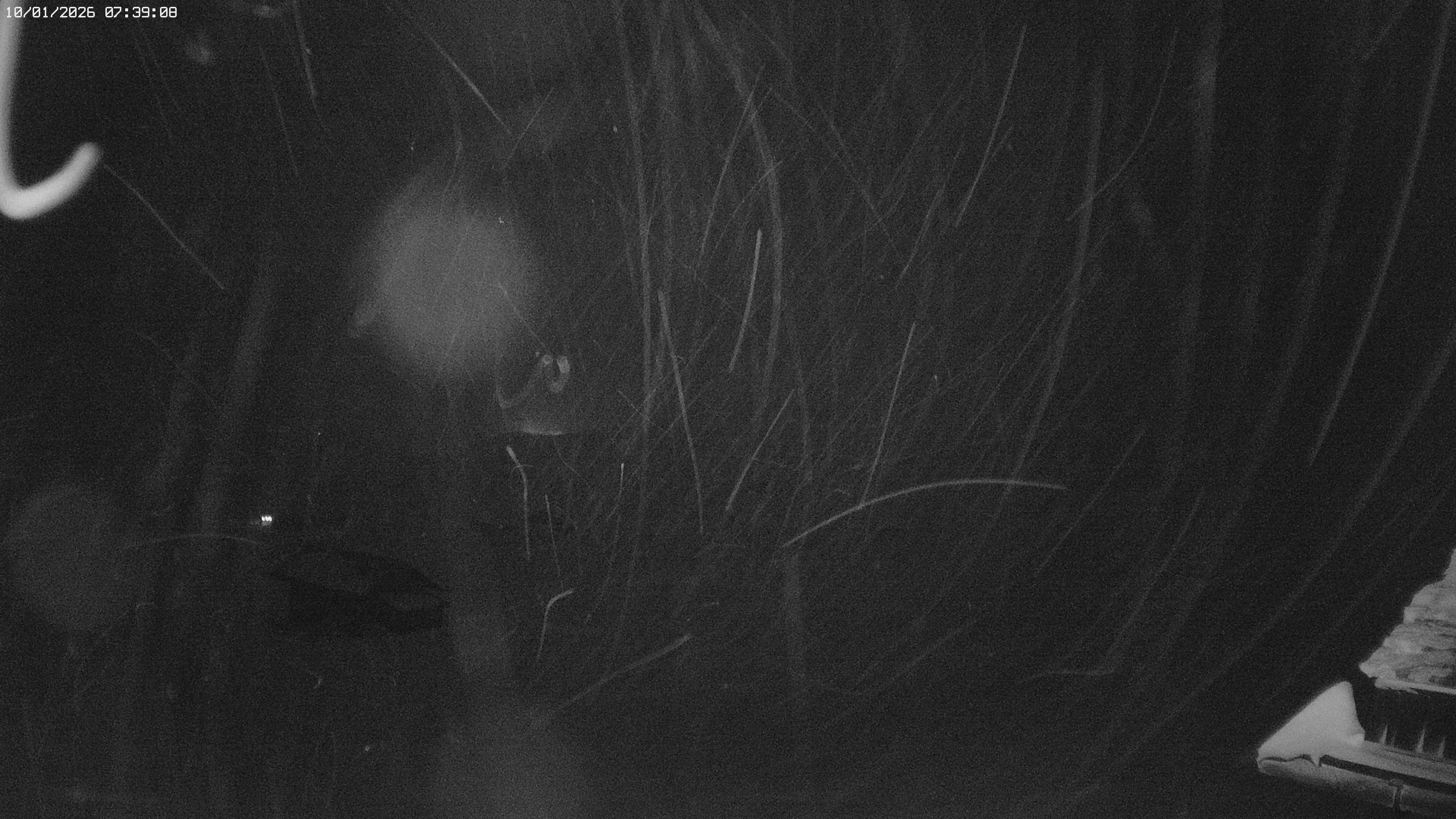 Archiv Foto Webcam Jägeralpe: View Biberkopf