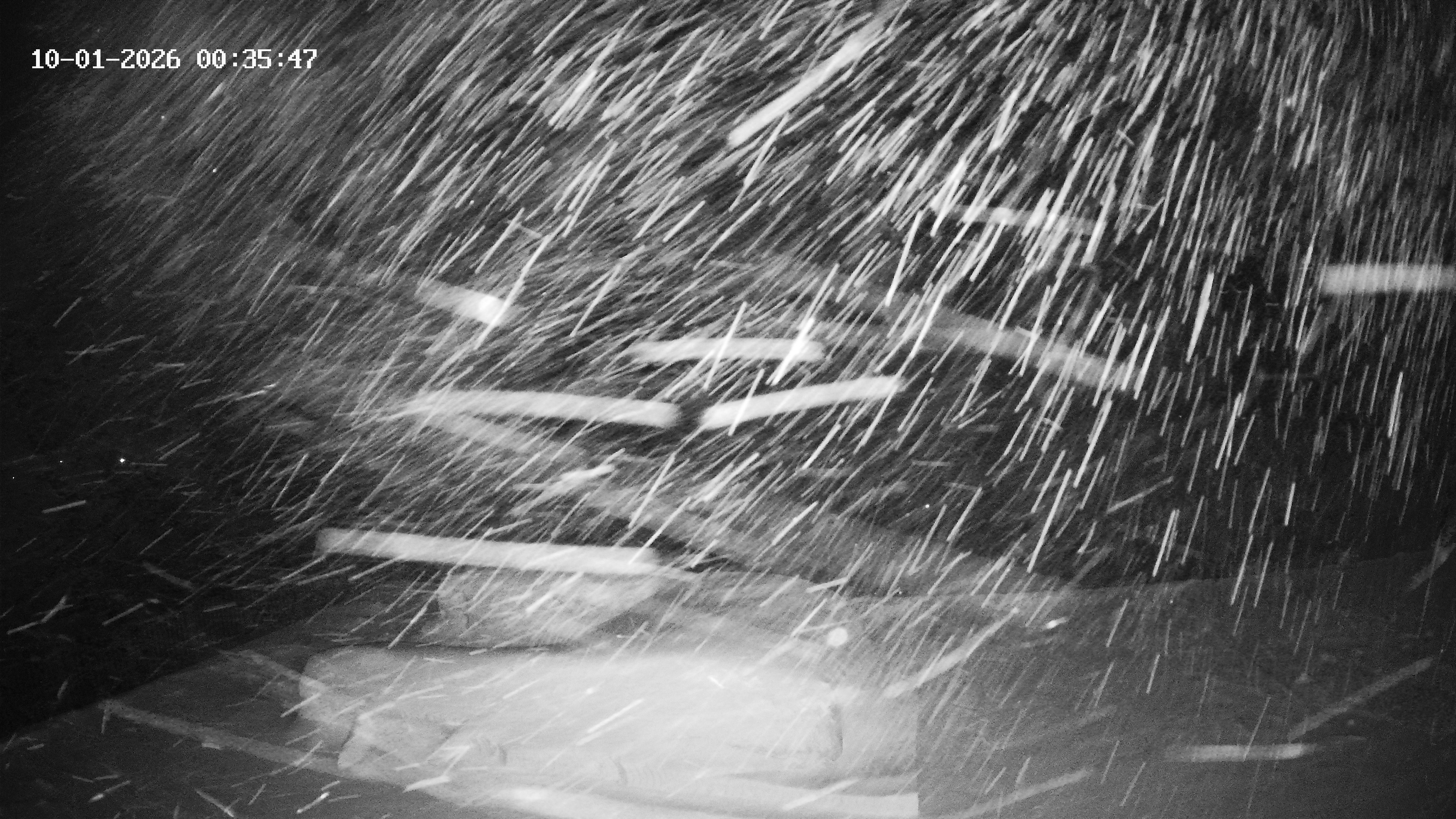 Archived image Webcam Hotel Adler at Warth