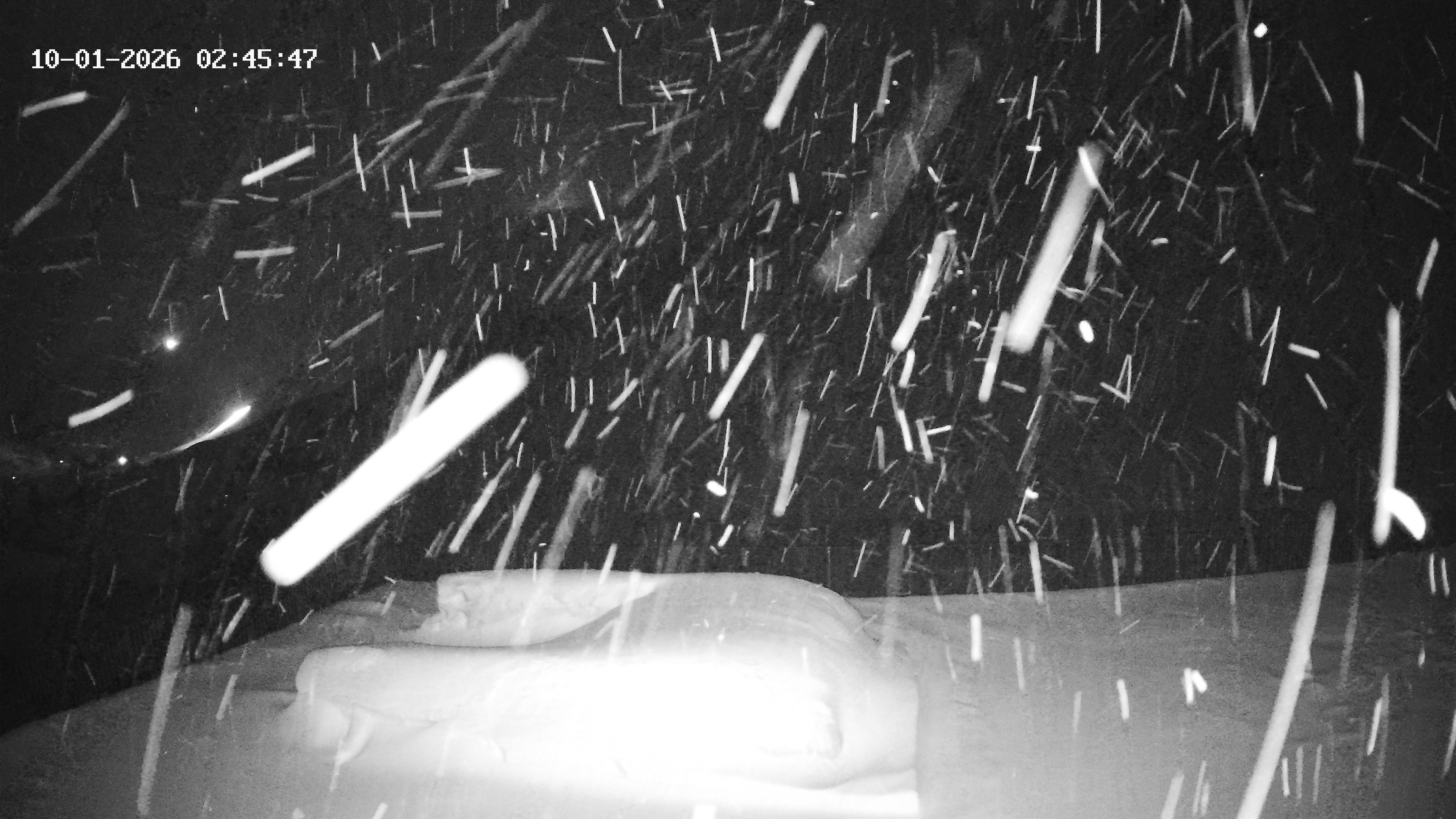 Archived image Webcam Hotel Adler at Warth