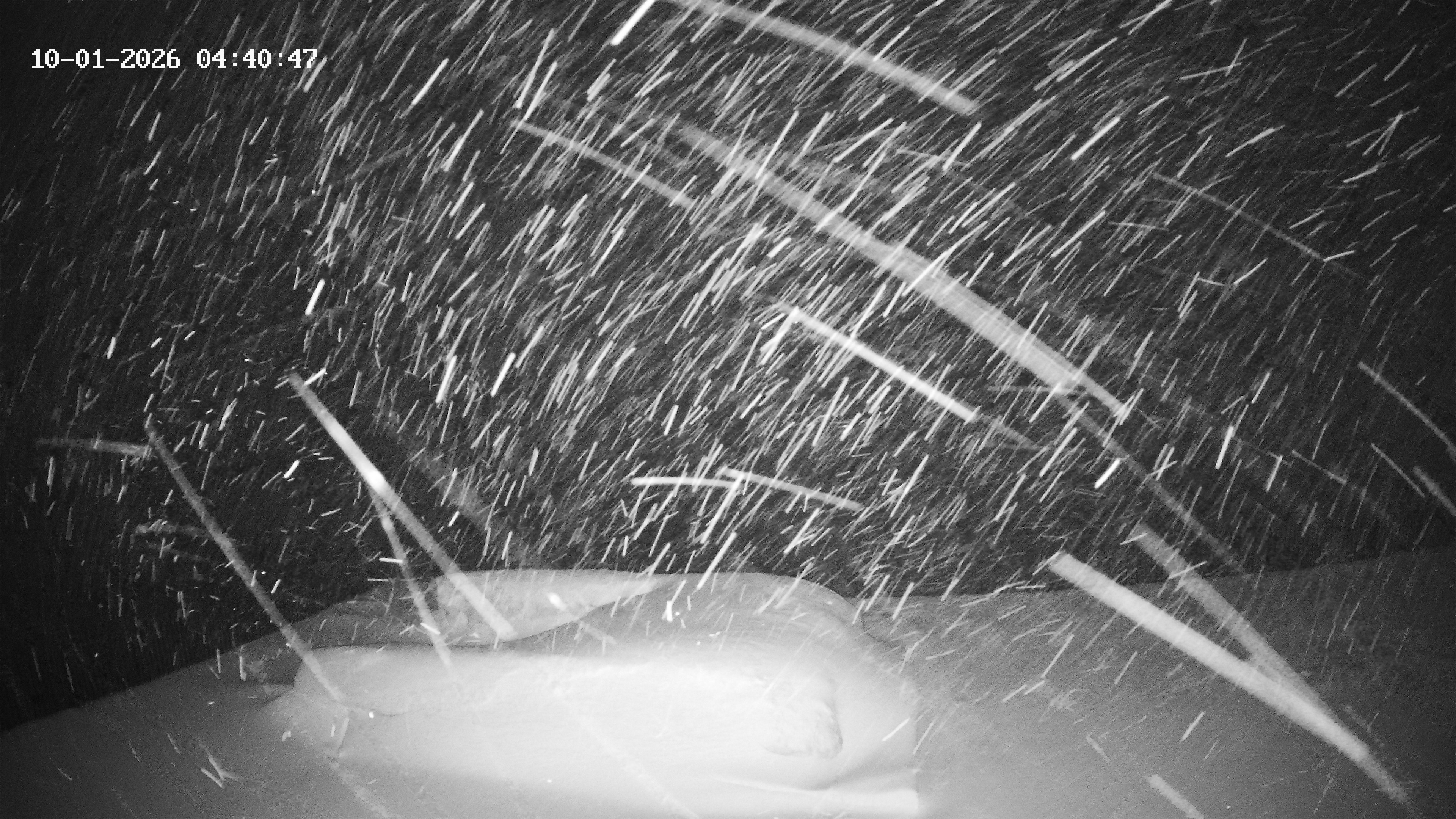 Archived image Webcam Hotel Adler at Warth