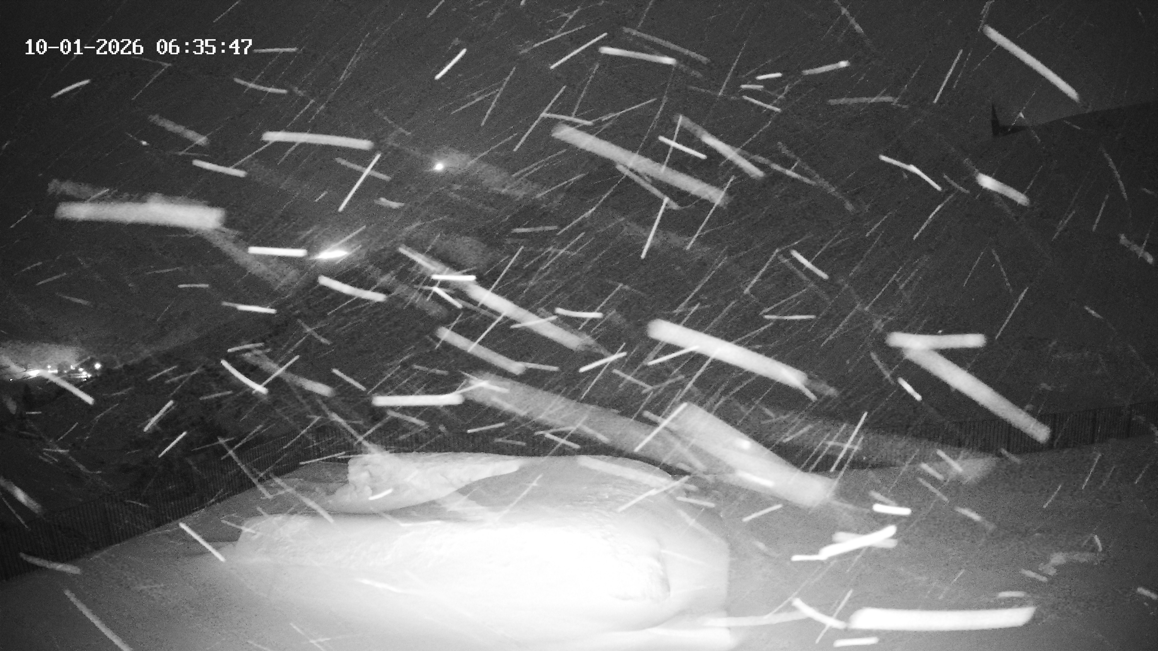 Archiv Foto Webcam Hotel Adler in Warth