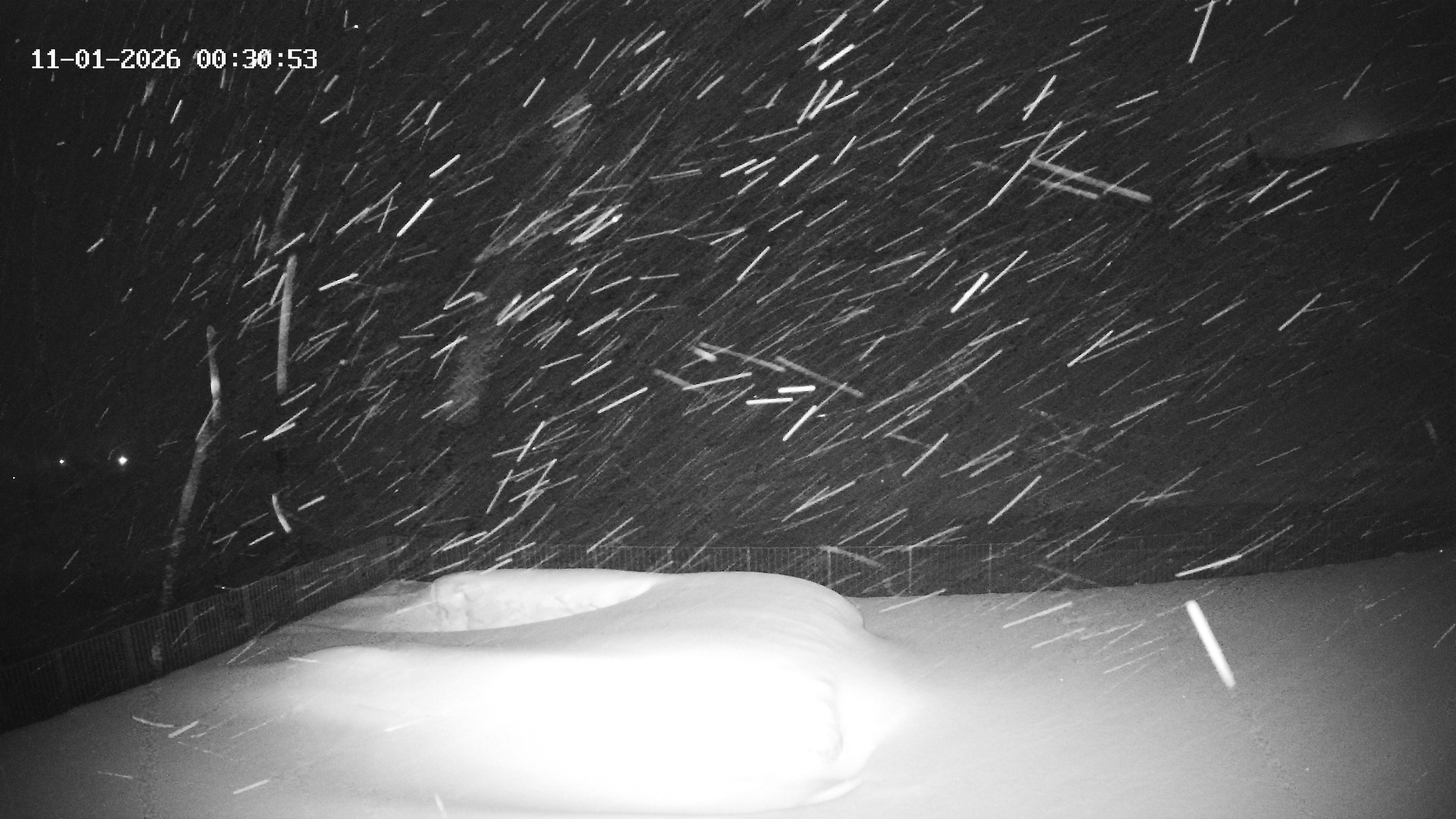 Archiv Foto Webcam Hotel Adler in Warth