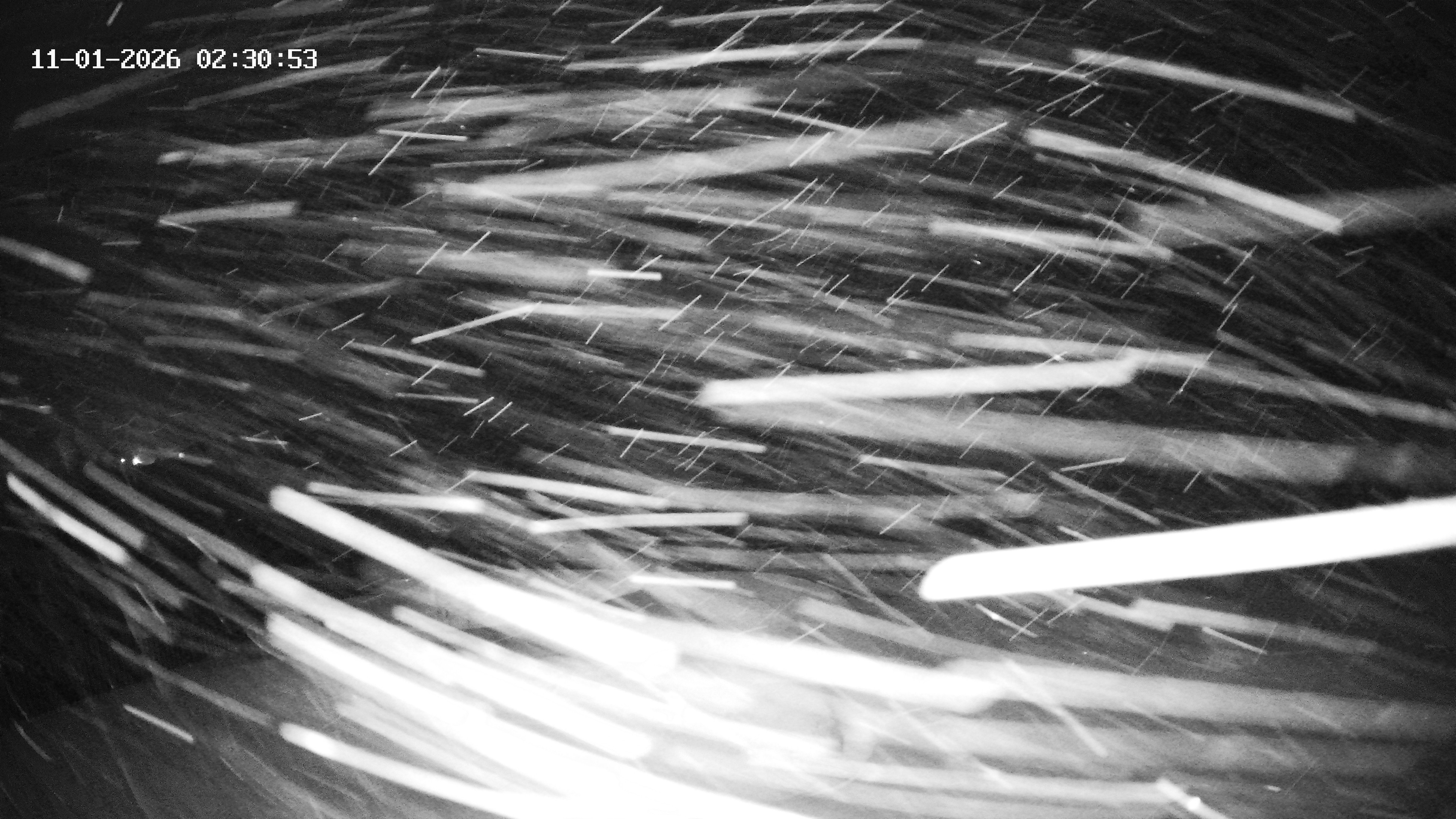 Archiv Foto Webcam Hotel Adler in Warth