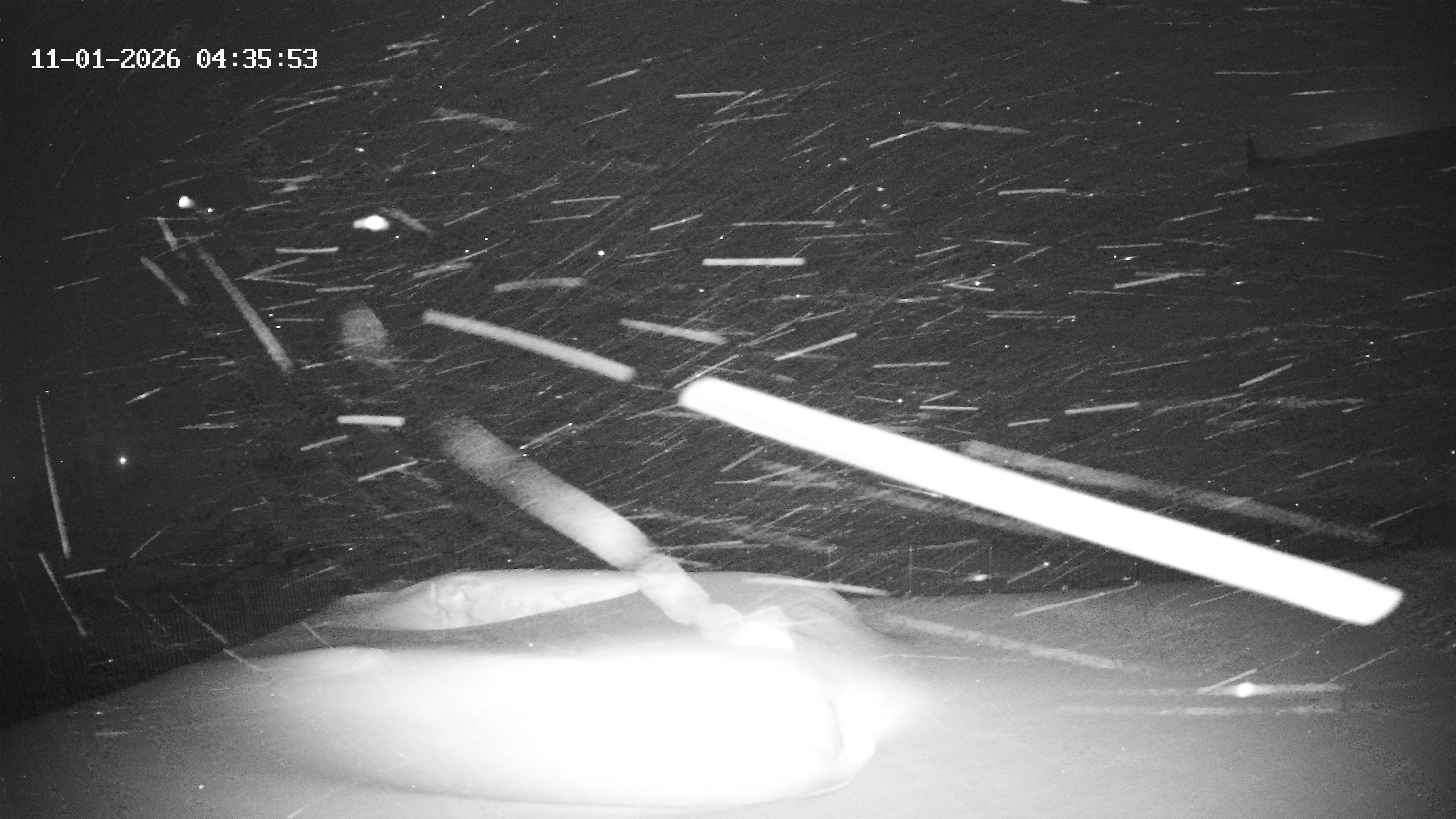 Archiv Foto Webcam Hotel Adler in Warth