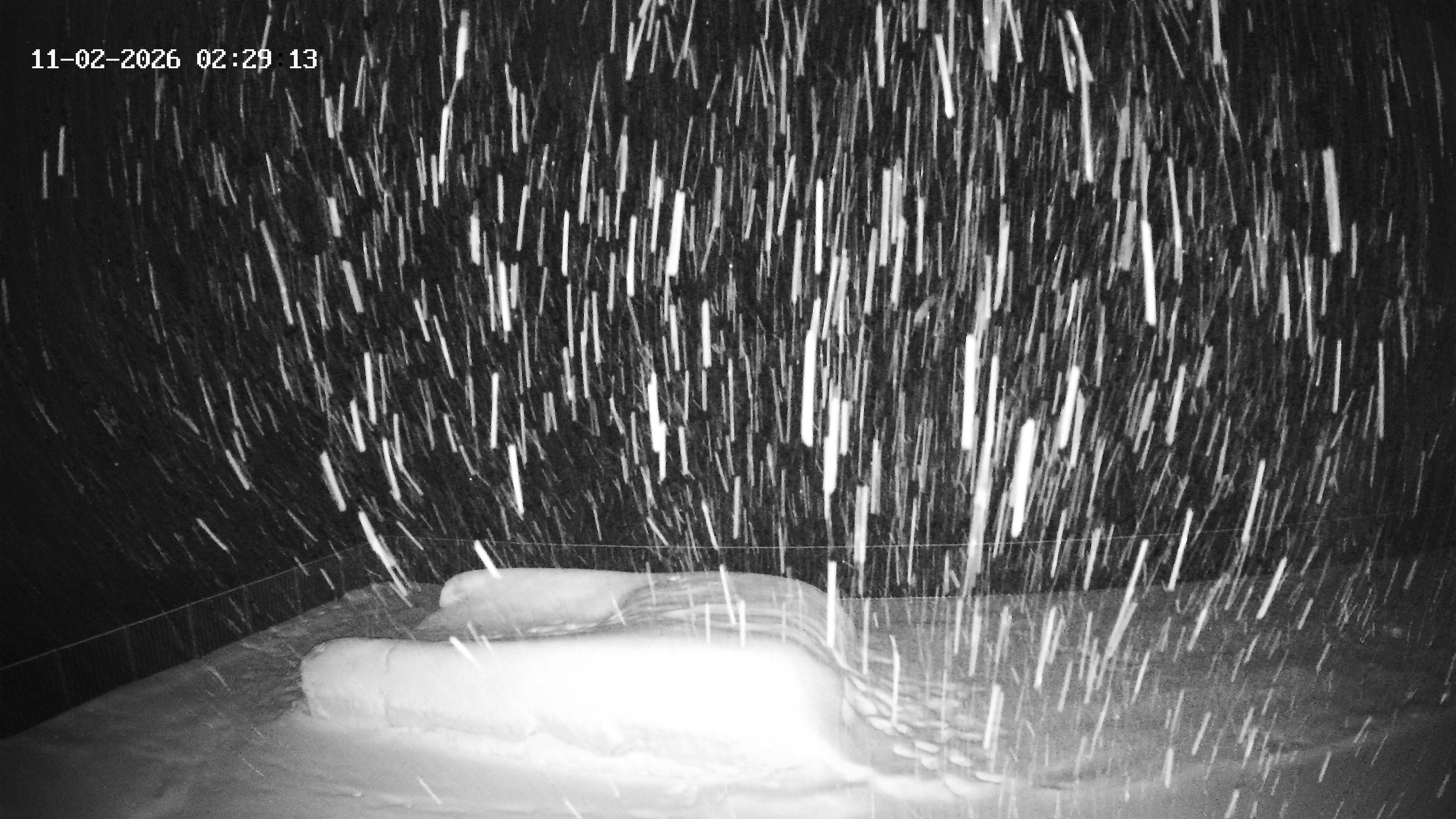 Archived image Webcam Hotel Adler at Warth