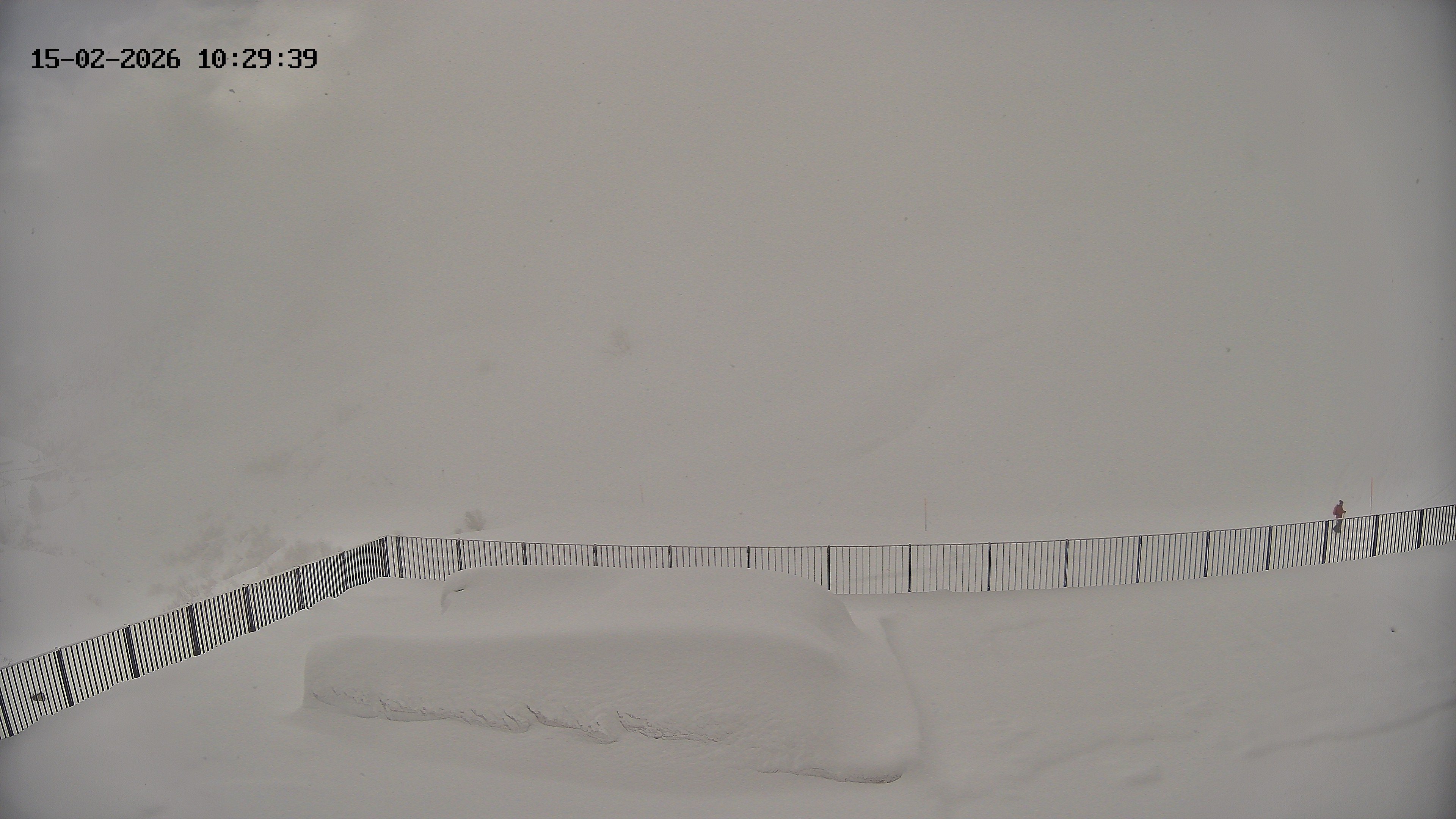 Archiv Foto Webcam Hotel Adler in Warth