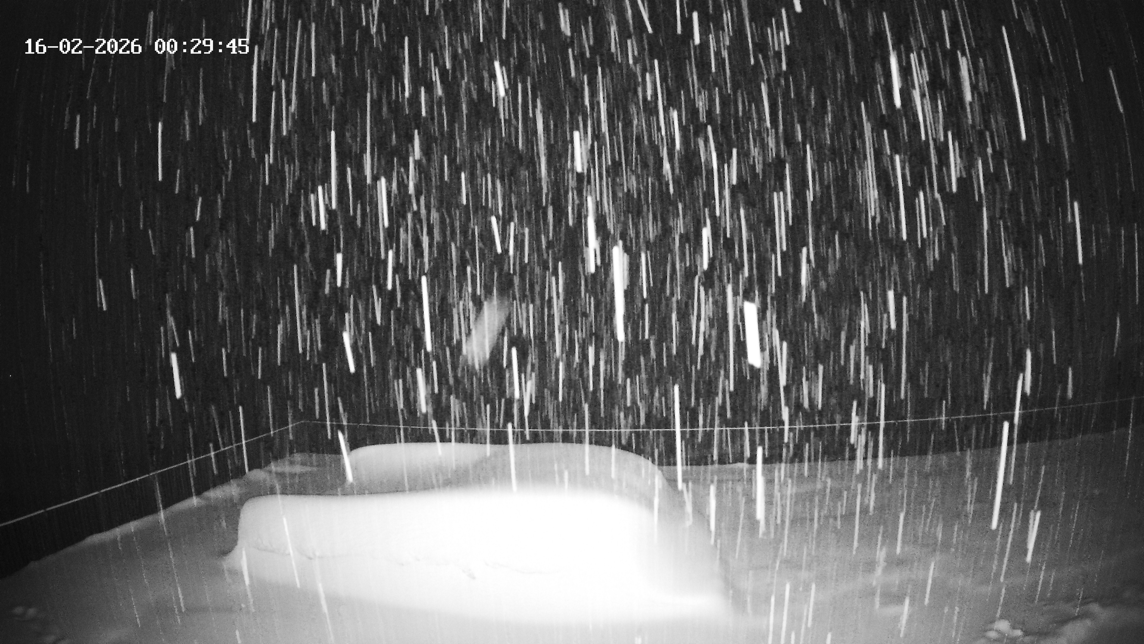 Archiv Foto Webcam Hotel Adler in Warth